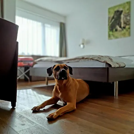 Crystal Ιντερλάκεν