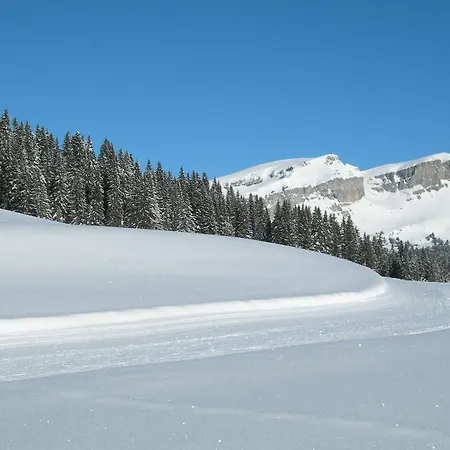 Crystal インターラーケン