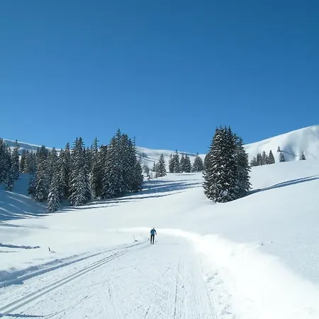 Crystal Ιντερλάκεν