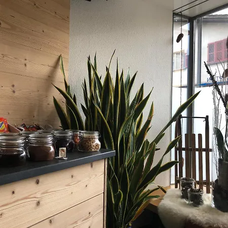 Crystal ホテル インターラーケン