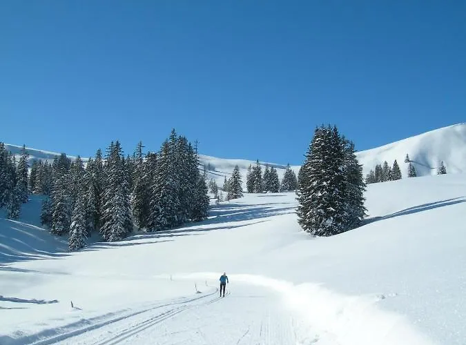 Crystal Ιντερλάκεν