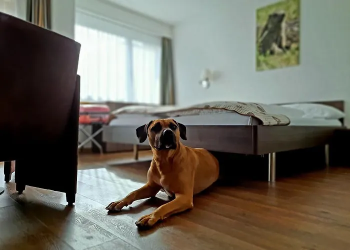 Crystal Интерлакен